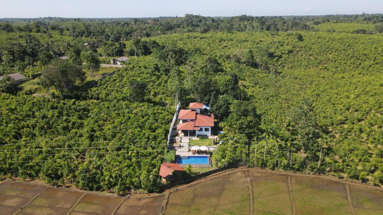 Peaceful Villa With Pool Near Hikkaduwa Ambalangoda  Exterior photo